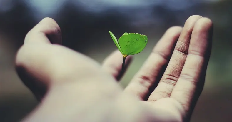 Mentalidade de crescimento