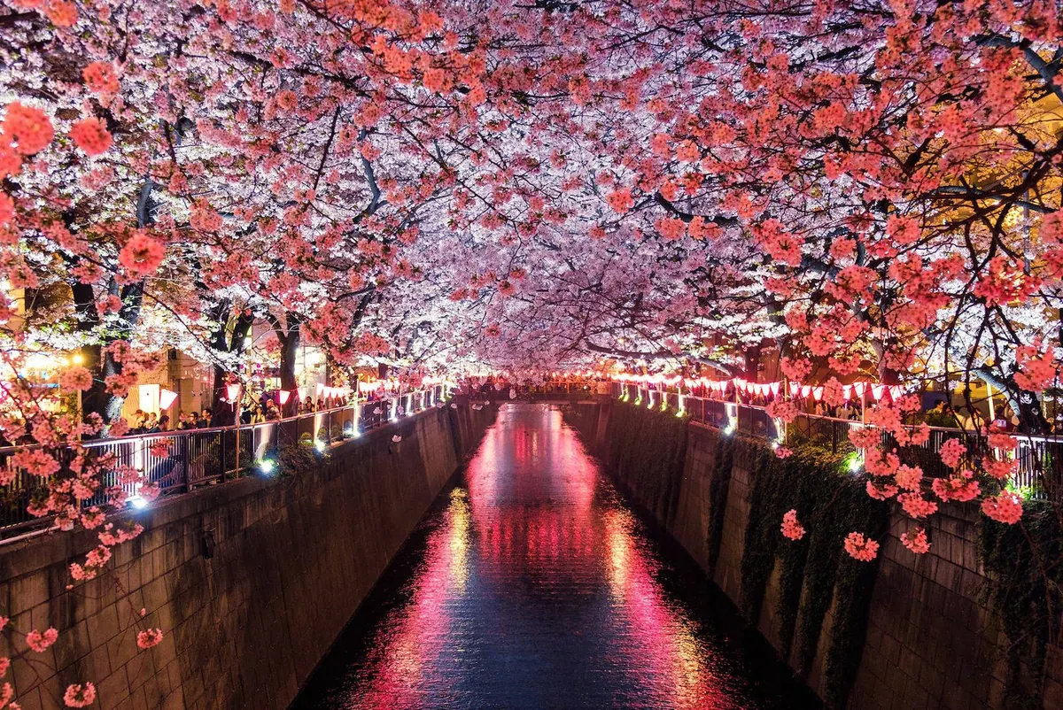 A grande renúncia chega ao Japão