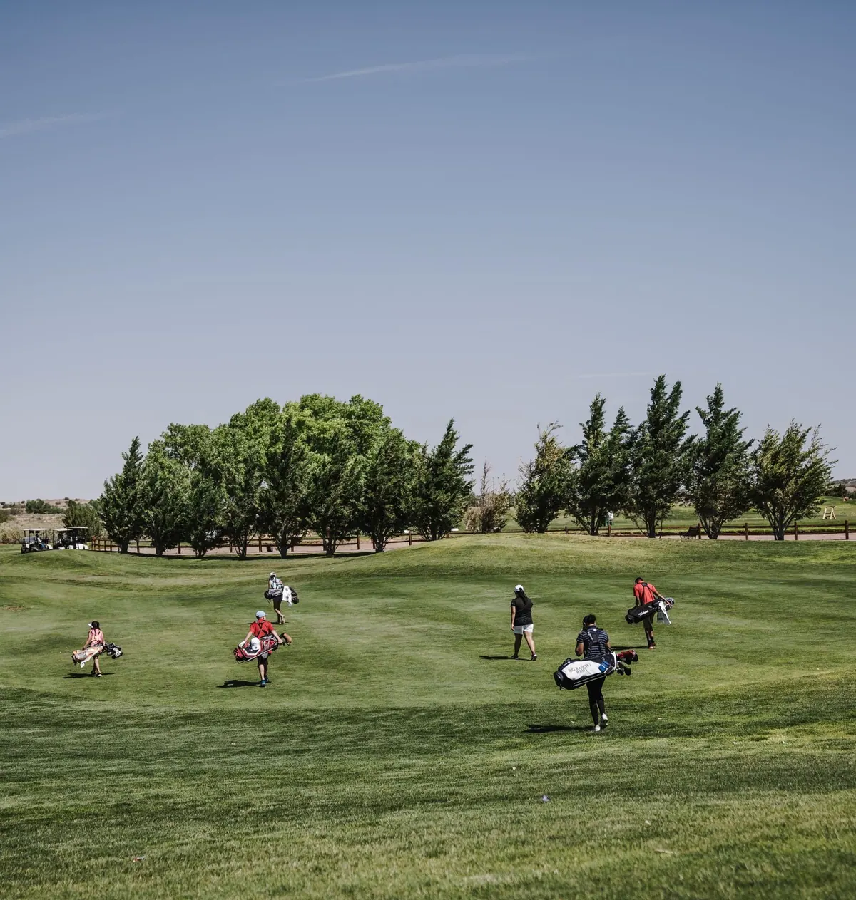 Pessoas jogando golfe em um campo verde com árvores e céu azul claro.