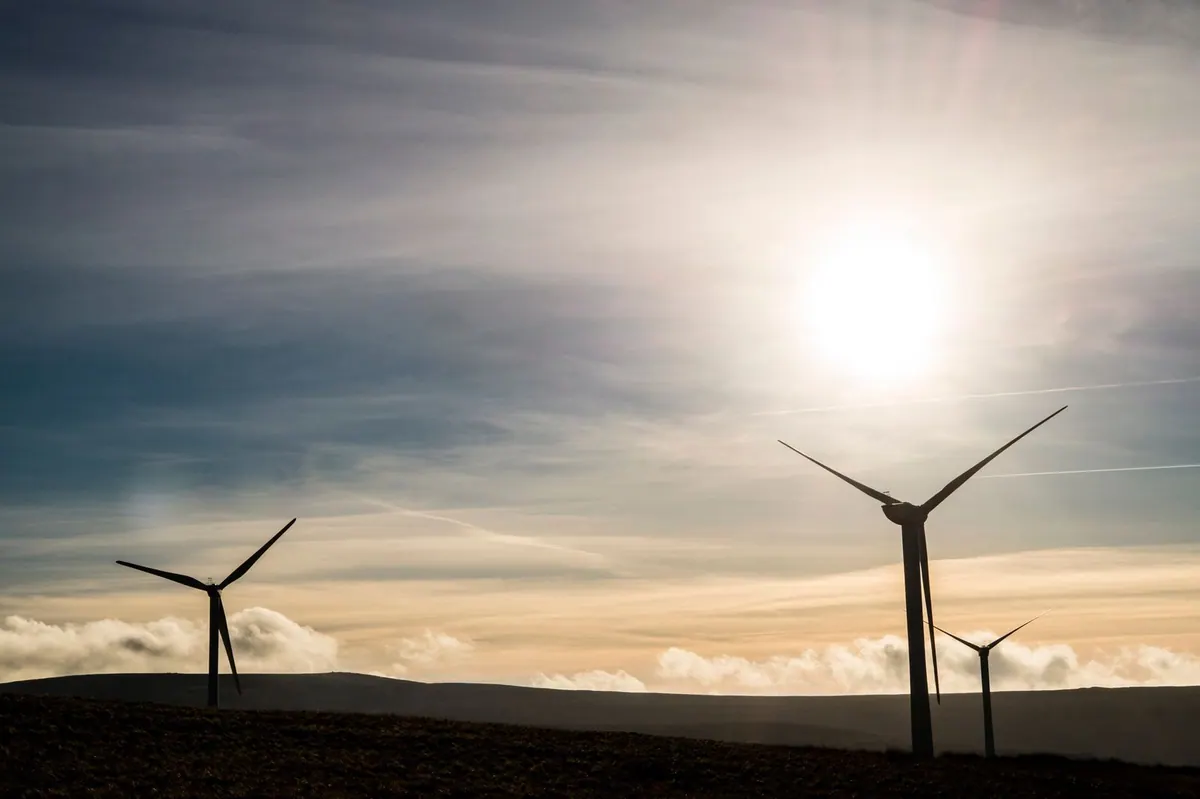 Maioria dos líderes acha que empresa faz greenwashing, diz estudo