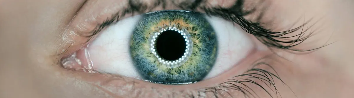 Visão inteligente: a tecnologia chega às lentes de contato