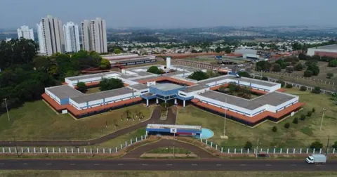 Complexo cogna