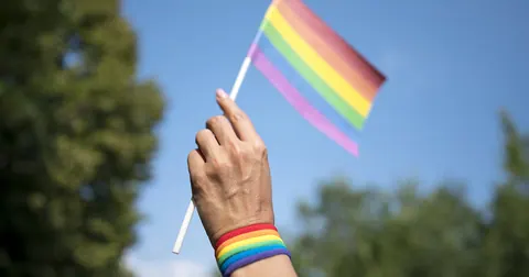 Bandeira da diversidade