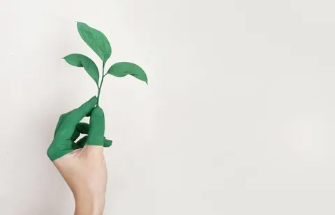 Mão pintada de verde segurando um pequeno broto de planta verde.