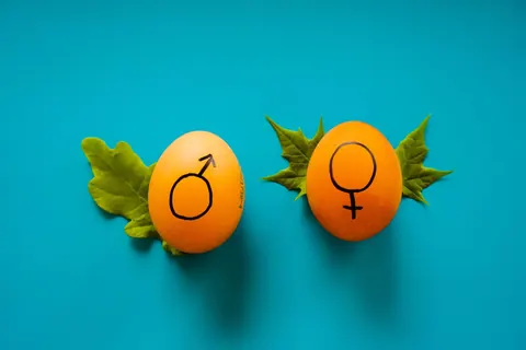 Em algumas regiões, as mulheres estão ganhando mais que os homens