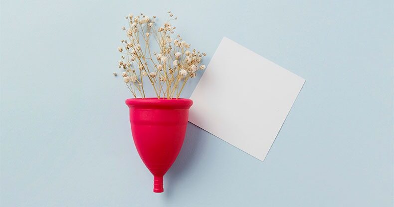 Imagem de um coletor de menstruação com flores