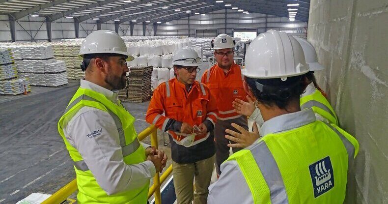 Inteligência artificial da Yara mapeia riscos psicossociais e ajuda funcionários a resolverem demandas burocráticas de RH.