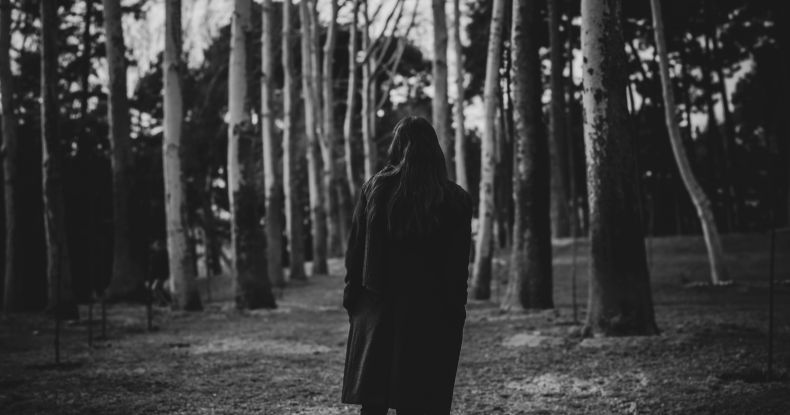 inveja e ambição no ambiente profissional