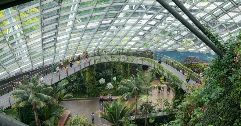 81% preferem trabalhar em empresas conscientes